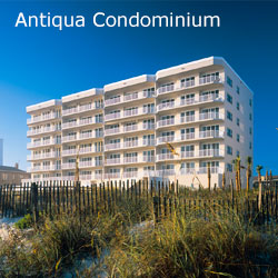 antiqua